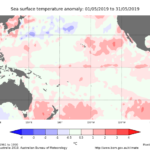 The Weekely Sea Surface Temperature (SST) anomaly for the month of June 2019.