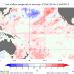 The Weekely Sea Surface Temperature (SST) anomaly for the 16-23 June 2019.